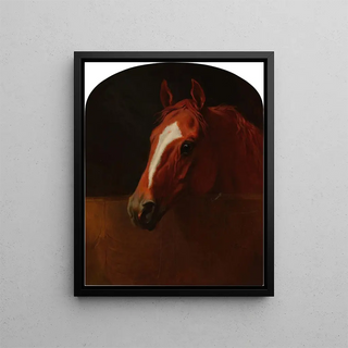 Mary Hadley in a box of loose - Edward Troye — framed artwork on a wall