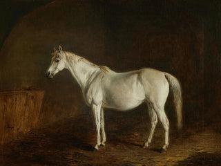 Bobine avec cheval de course gris - Edward Troye — artwork view