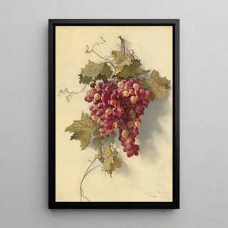 Raisins against a white wall - Edwin Deakin — framed artwork on a wall