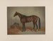 Saint Julien, king of trotting races - Edwin Forbes — artwork view