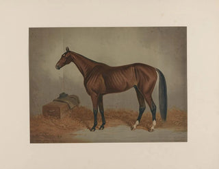 Saint Julien, king of trotting races - Edwin Forbes — artwork view