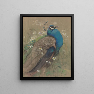 A peacock and daisies - Edwin John Alexander — framed artwork on a wall