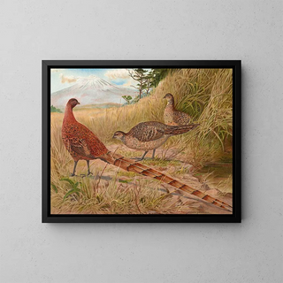 The Copper Pheasant of Soemmerring - Edwin Megargee — framed artwork on a wall