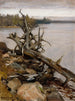 Pin mort dans l'eau - Eero Järnefelt — artwork view