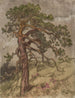 Kalliopetjä - Eero Järnefelt — artwork view