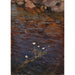 Water Buttercup - Eero Järnefelt — artwork view