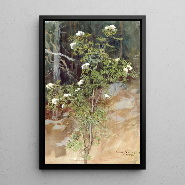 White Sorbus - Eero Järnefelt — framed artwork on a wall