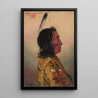 Nuage Rouge Makhpiyaluta - Elbridge Ayer Burbank — framed artwork on a wall