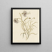 Carnations - Elias van Nijmegen — framed artwork on a wall