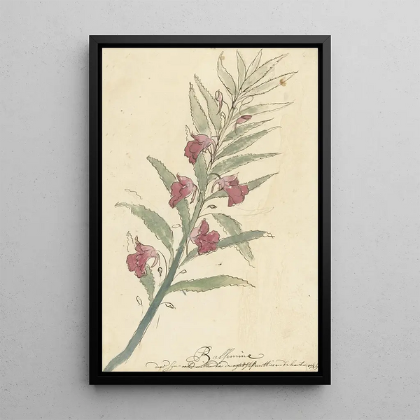 Reproduction of the painting Balsamine - Elias van Nijmegen