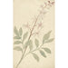 Reproduction of the painting Study of Flowers - Elias van Nijmegen