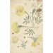 Études de Fleurs de Tagètes - Elias van Nijmegen — artwork view
