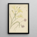 Flower Studies of a Yellow Lily and a Blooming Onion - Elias van Nijmegen — framed artwork on a wall