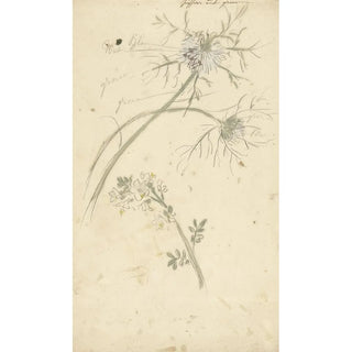 Nigelle de Damas - Elias van Nijmegen — artwork view