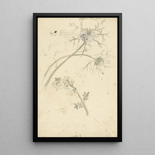 Nigelle de Damas - Elias van Nijmegen — framed artwork on a wall