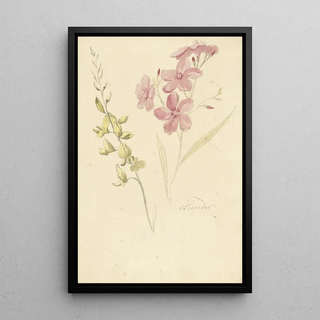 Laurier-rose et genêt - Elias van Nijmegen — framed artwork on a wall