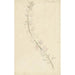 Reproduction of the painting Pied d'alouette - Elias van Nijmegen