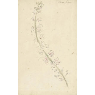 Reproduction of the painting Pied d'alouette - Elias van Nijmegen