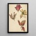 Études de quatre tulipes - Elias van Nijmegen — framed artwork on a wall