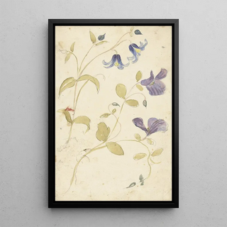 Reproduction of the painting of Violet and Blue Flower Studies - Elias van Nijmegen