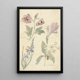 Reproduction of the painting Flower Study Painting including an iris - Elias van Nijmegen