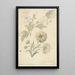 Reproduction of the painting of Sunflower and Althaea Studies - Elias van Nijmegen