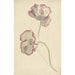 Two studies of a poppy - Elias van Nijmegen — artwork view