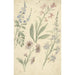 Four studies of pink and blue flowers - Elias van Nijmegen — artwork view