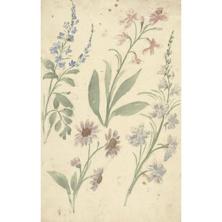 Four studies of pink and blue flowers - Elias van Nijmegen — artwork view