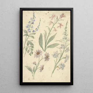 Four studies of pink and blue flowers - Elias van Nijmegen — framed artwork on a wall