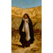 L'Esprit perdu - Elihu Vedder — artwork view