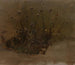 Wildflowers Painting - Elihu Vedder — artwork view