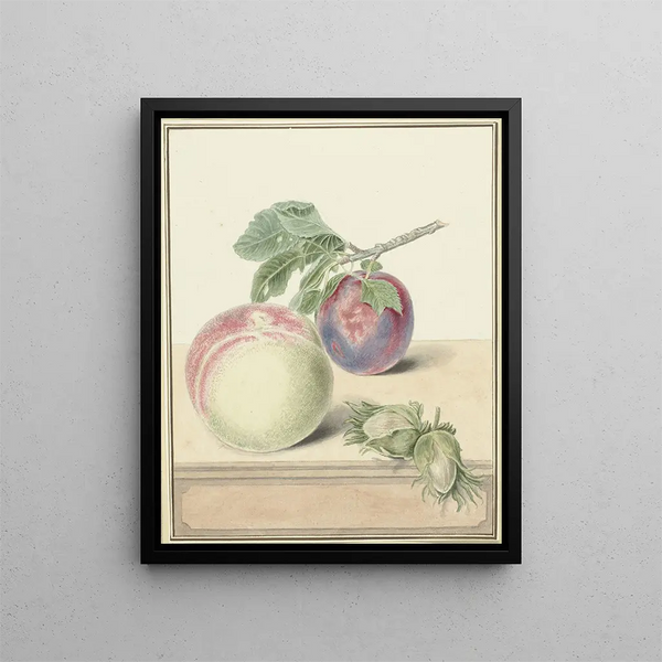 Fishing, a plum with a leaf and some nuts after Michiel van Huysum - Elisabeth Geertruida van de Kasteele — framed artwork on a wall