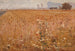 Wheat Field Painting - Eliseu Visconti — artwork view