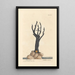 Coral Black Painting - Elizabeth Blackwell — framed artwork on a wall