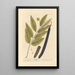 Cassia fistula - Elizabeth Blackwell — framed artwork on a wall