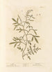 Cresson - Elizabeth Blackwell — artwork view