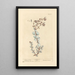 Crète Dictame - Elizabeth Blackwell — framed artwork on a wall