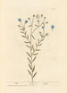 Lin - Elizabeth Blackwell — artwork view