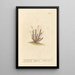 Golden Hair Painting - Elizabeth Blackwell — framed artwork on a wall