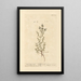 Mint Pouliot Painting - Elizabeth Blackwell — framed artwork on a wall