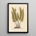 Scolopendre - Elizabeth Blackwell — framed artwork on a wall