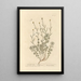 Santoline Painting - Elizabeth Blackwell — framed artwork on a wall
