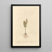 Moonlit Painting - Elizabeth Blackwell — framed artwork on a wall