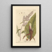 Patience - Elizabeth Blackwell — framed artwork on a wall