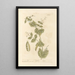 Dots - Elizabeth Blackwell — framed artwork on a wall