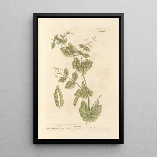 Dots - Elizabeth Blackwell — framed artwork on a wall