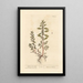 Wall Art Painting - Elizabeth Blackwell — framed artwork on a wall