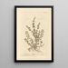 Mint Pouliot Painting - Elizabeth Blackwell — framed artwork on a wall