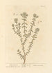 Mountain Pole Painting - Elizabeth Blackwell — artwork view
